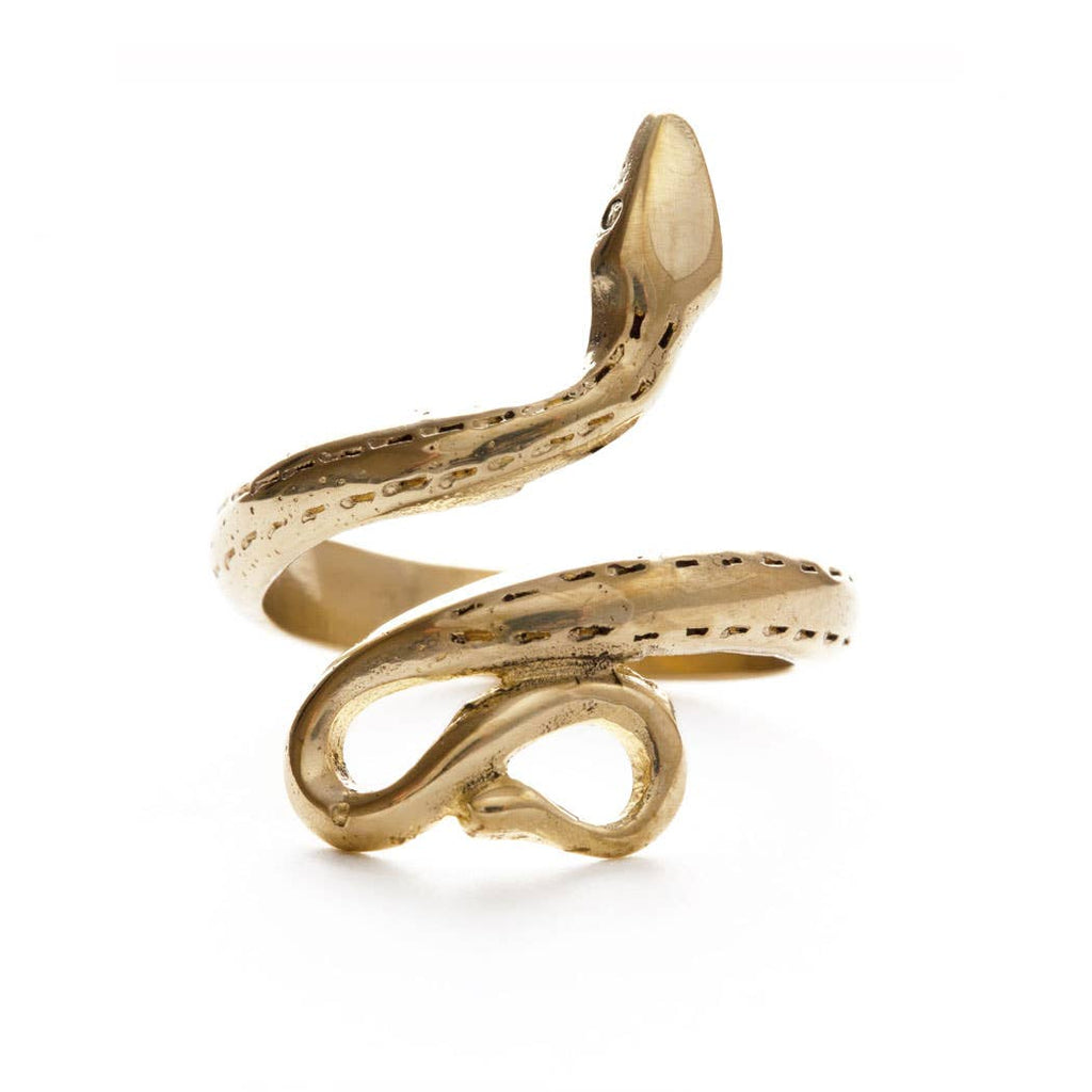 The Serpent of Renewal Ring